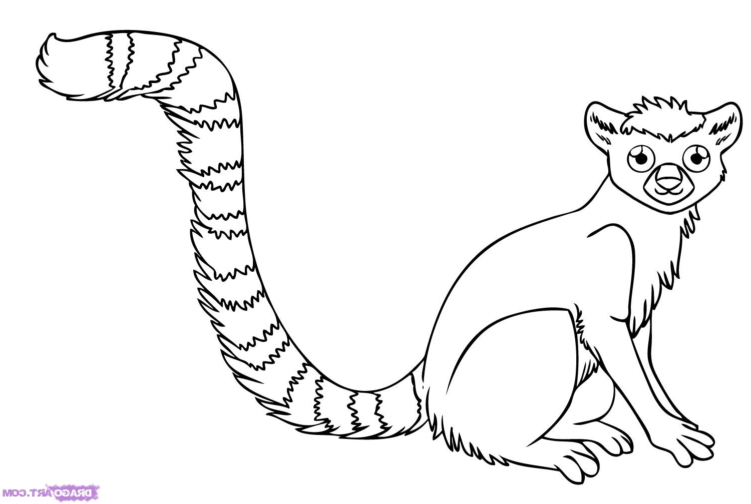 animal tails coloring pages rainforest animal drawing at getdrawingscom free for animal pages tails coloring 