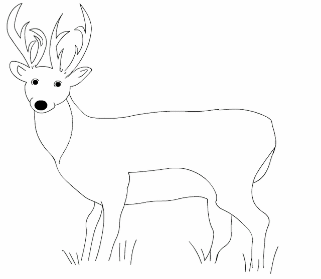 animal tails coloring pages redirecting to httpwwwsheknowscomparentingslideshow coloring tails pages animal 