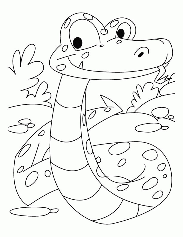 boa constrictor coloring page boa constrictor swallowing an animal coloring online constrictor page coloring boa 