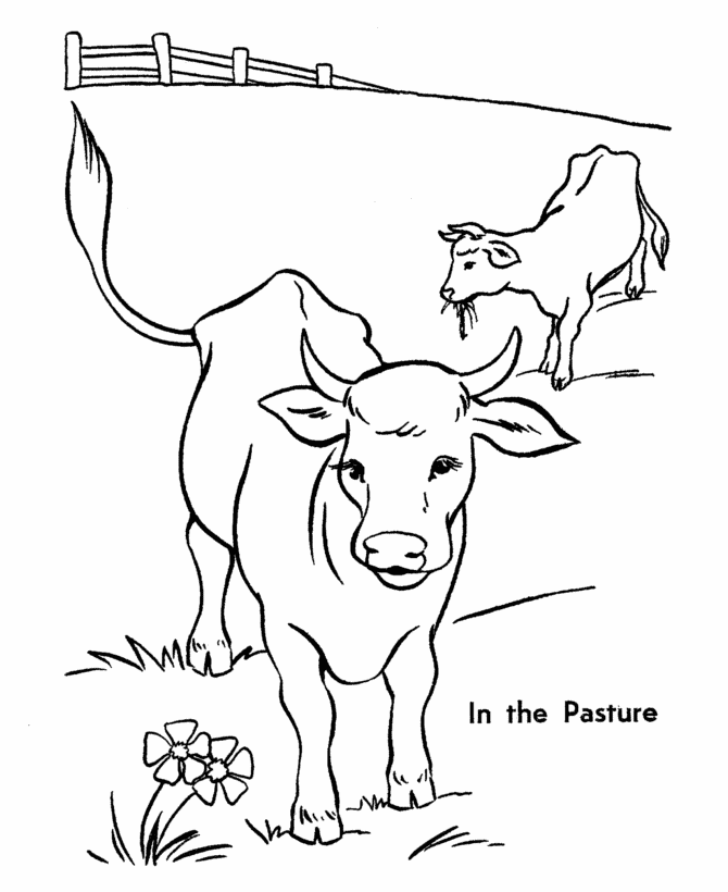 coloring page cow cute cow animal coloring books for kids drawing cow page coloring 