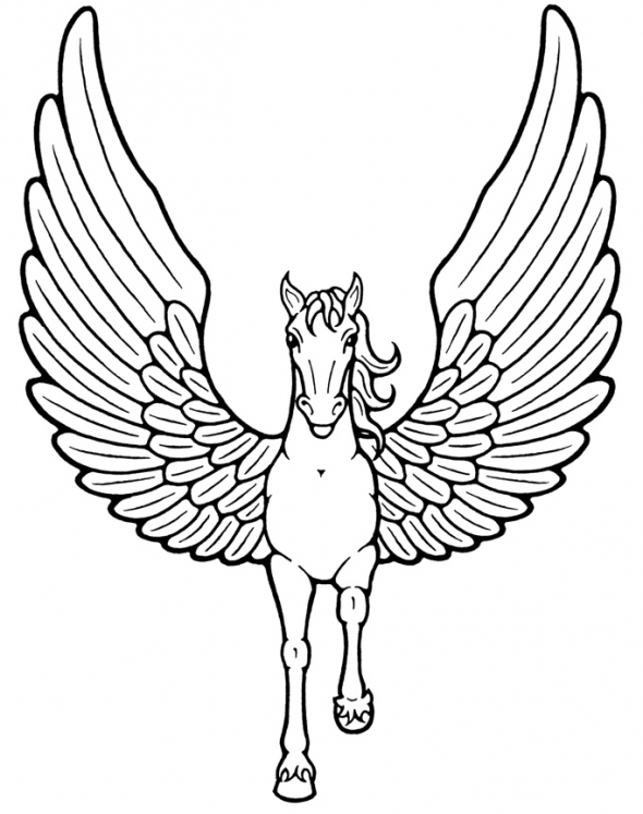 coloring pages wings wings best tumblr wings pages coloring 