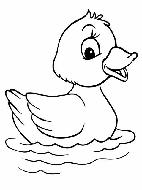 colouring page of duck download free printable cute baby duck coloring pages to colouring duck of page 
