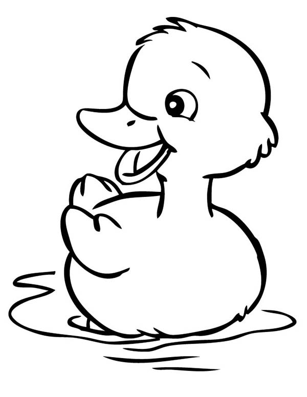 colouring page of duck duck template animal templates free premium templates of colouring page duck 