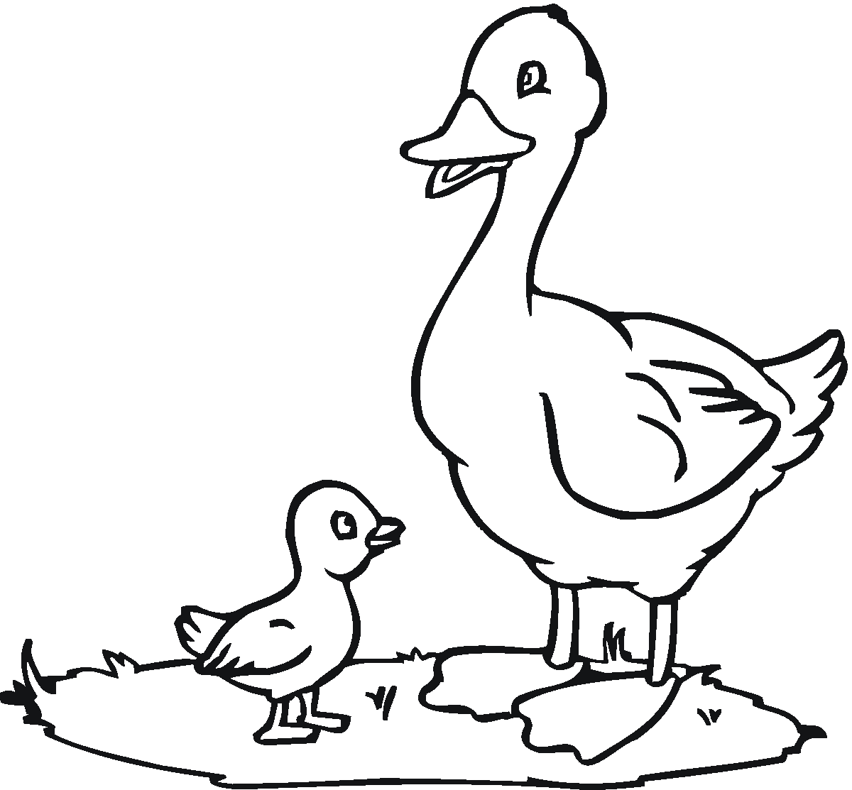 colouring page of duck kids coloring pages duck coloring pages colouring duck of page 