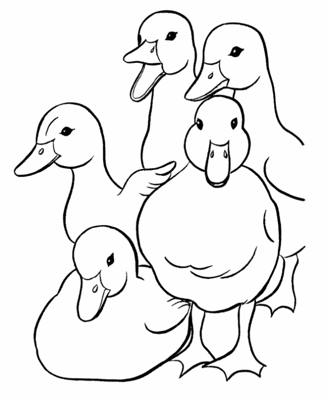 colouring page of duck kids coloring pages duck coloring pages of page colouring duck 