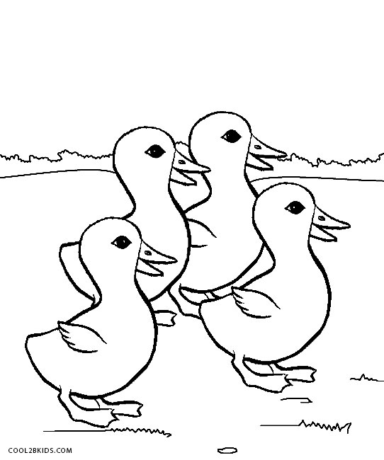 colouring page of duck printable duck coloring pages for kids cool2bkids colouring page of duck 