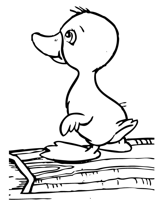 colouring page of duck printable duck coloring pages for kids cool2bkids of duck page colouring 