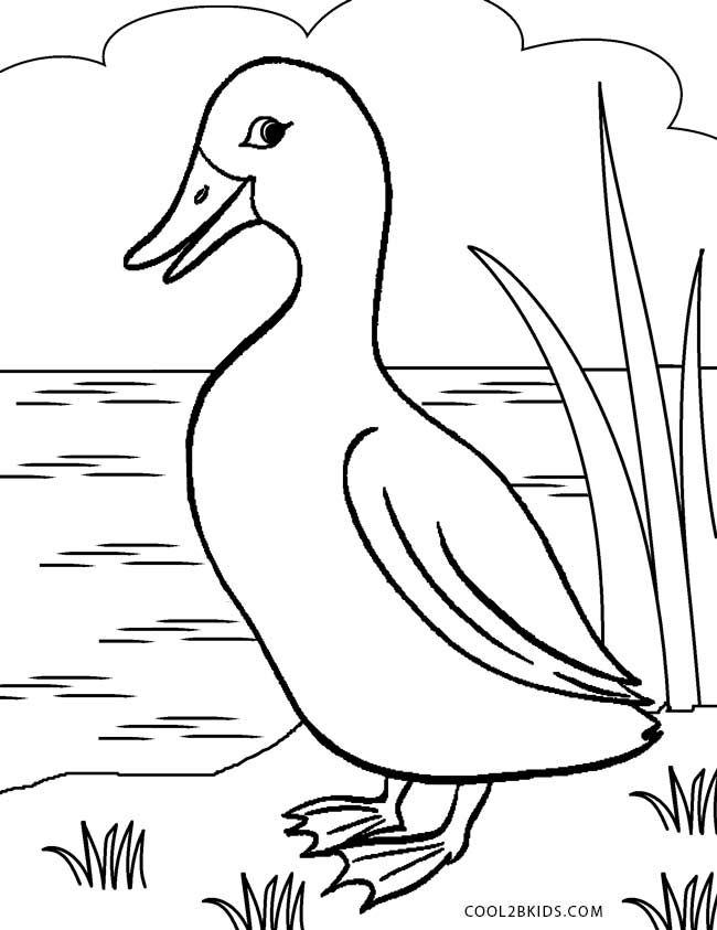 colouring page of duck two little ducks embroidery patterns pinterest duck of page colouring 