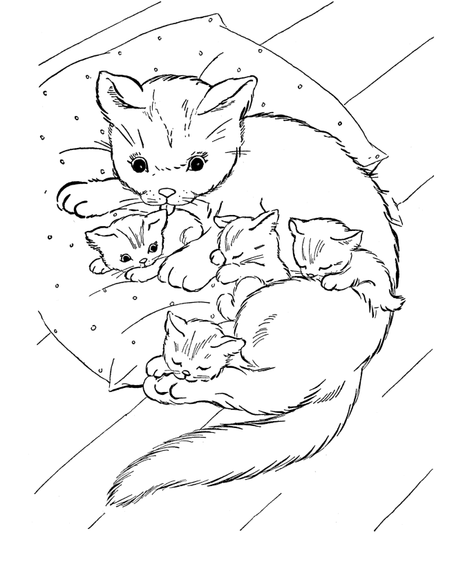 colouring pictures cats kittens cat coloring pages pictures cats kittens colouring 