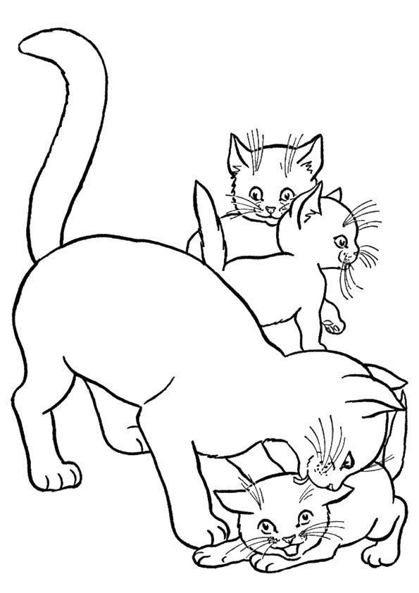 colouring pictures cats kittens coloring pages cats and kittens coloring pages free and kittens colouring cats pictures 