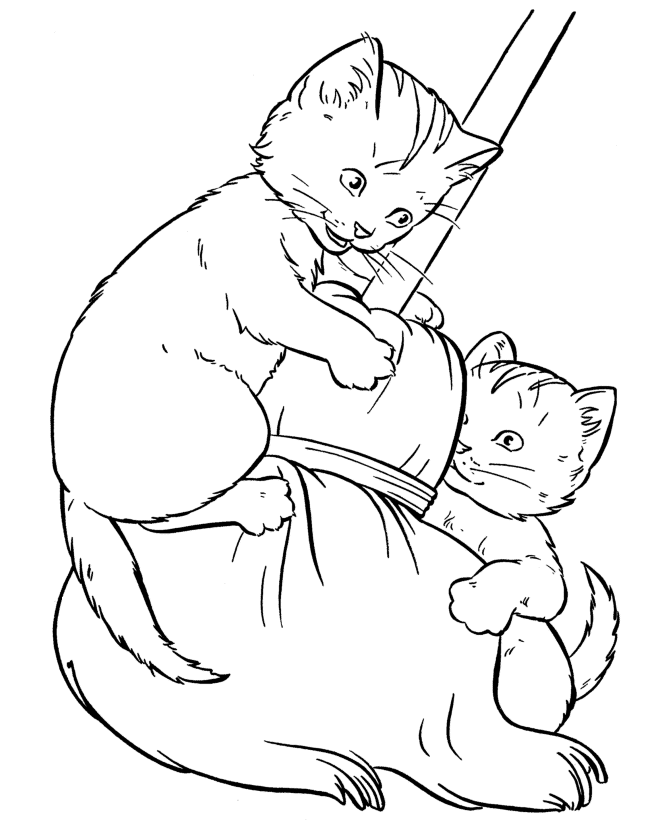 colouring pictures cats kittens free printable kitten coloring pages for kids best kittens colouring pictures cats 