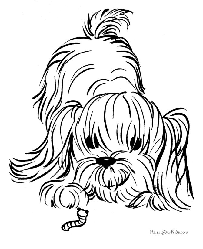 dog pictures to color free pets coloring pages coloring pages to pictures color free dog 