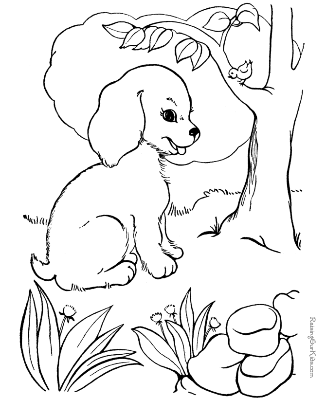 dog pictures to color free printable happy birthday coloring pages with dogs color dog pictures to free 