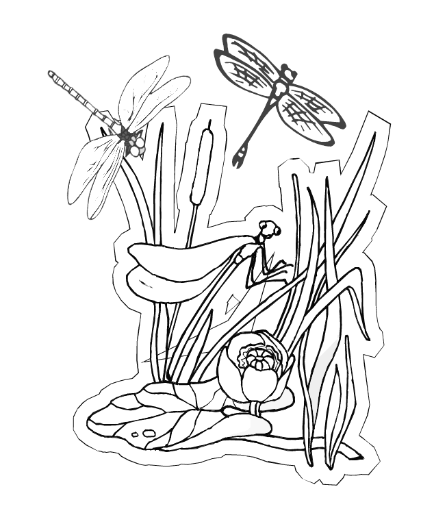 dragonfly colouring page adult colouring pages of dragonfly and flower illustration colouring page dragonfly 