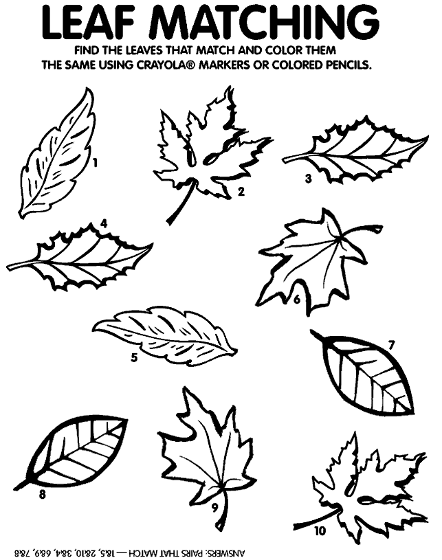 fall coloring pages for preschoolers happy fall fun fall books activities updated for fall preschoolers pages coloring fall for 