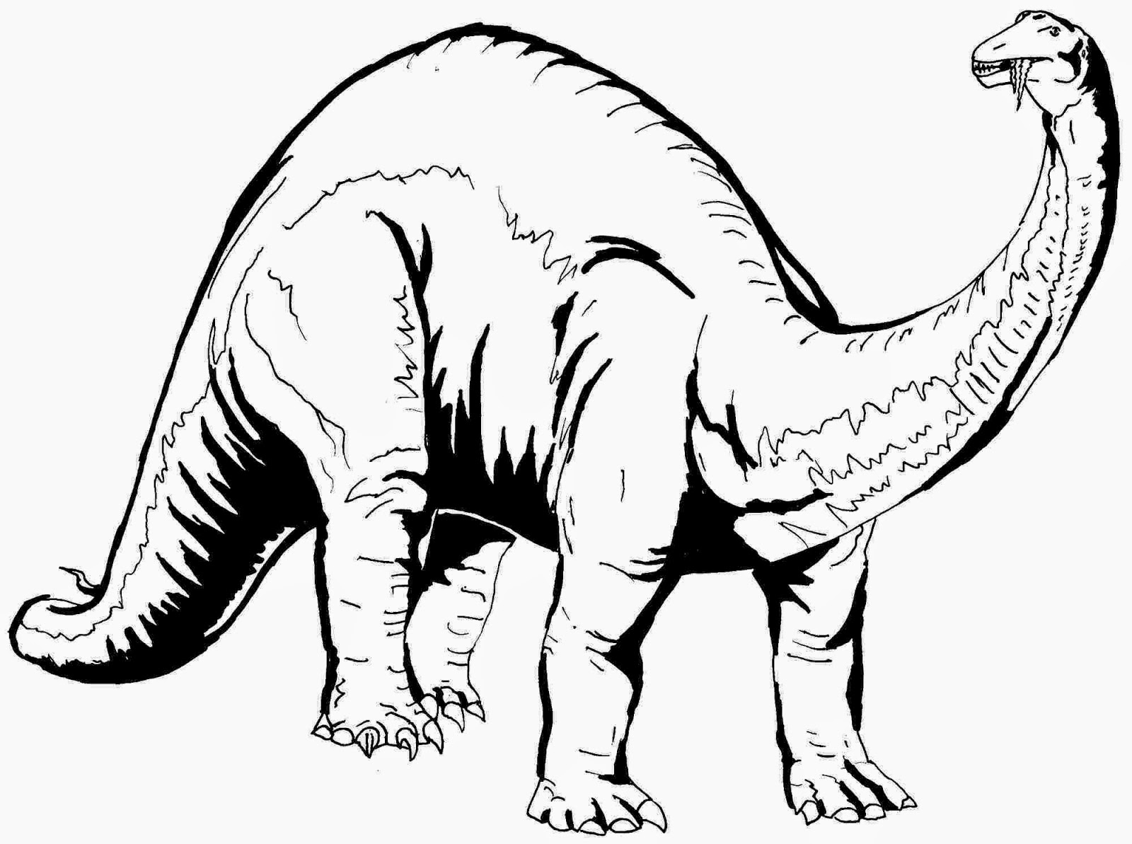 free printable dinosaur coloring pages free printable dinosaur coloring pages for kids printable dinosaur pages free coloring 
