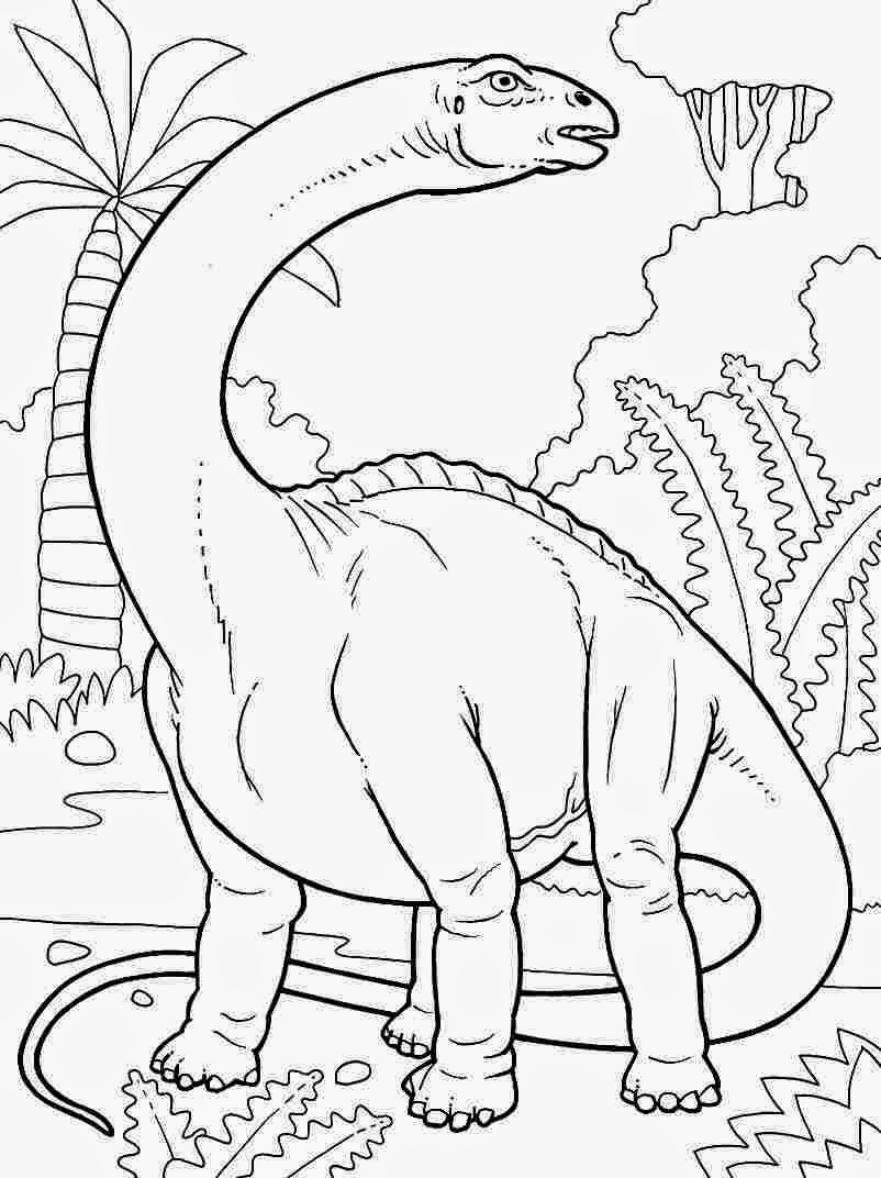 free printable dinosaur coloring pages printable dinosaur coloring pages for kids cool2bkids pages coloring printable dinosaur free 