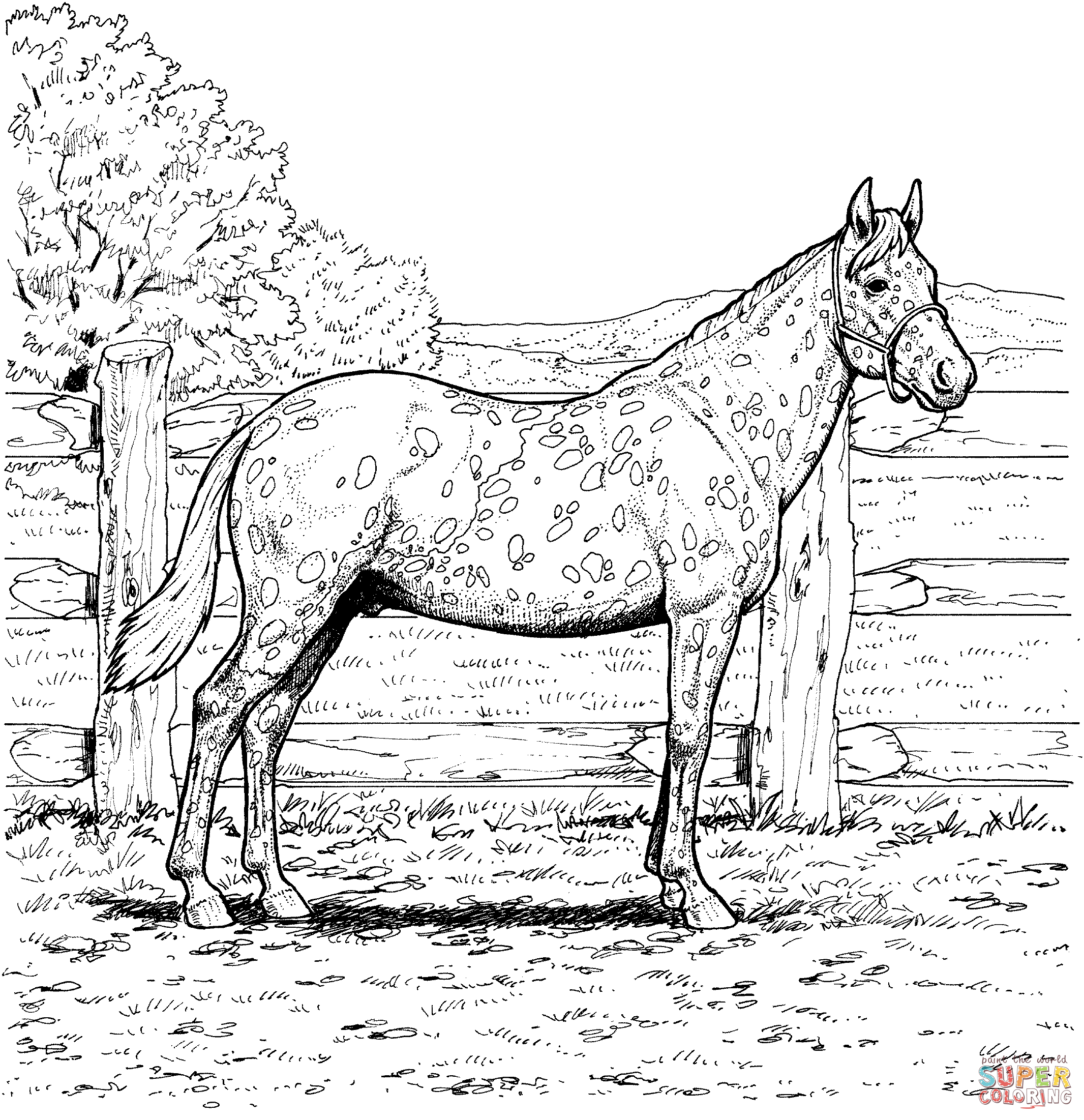horse pages fun horse coloring pages for your kids printable pages horse 