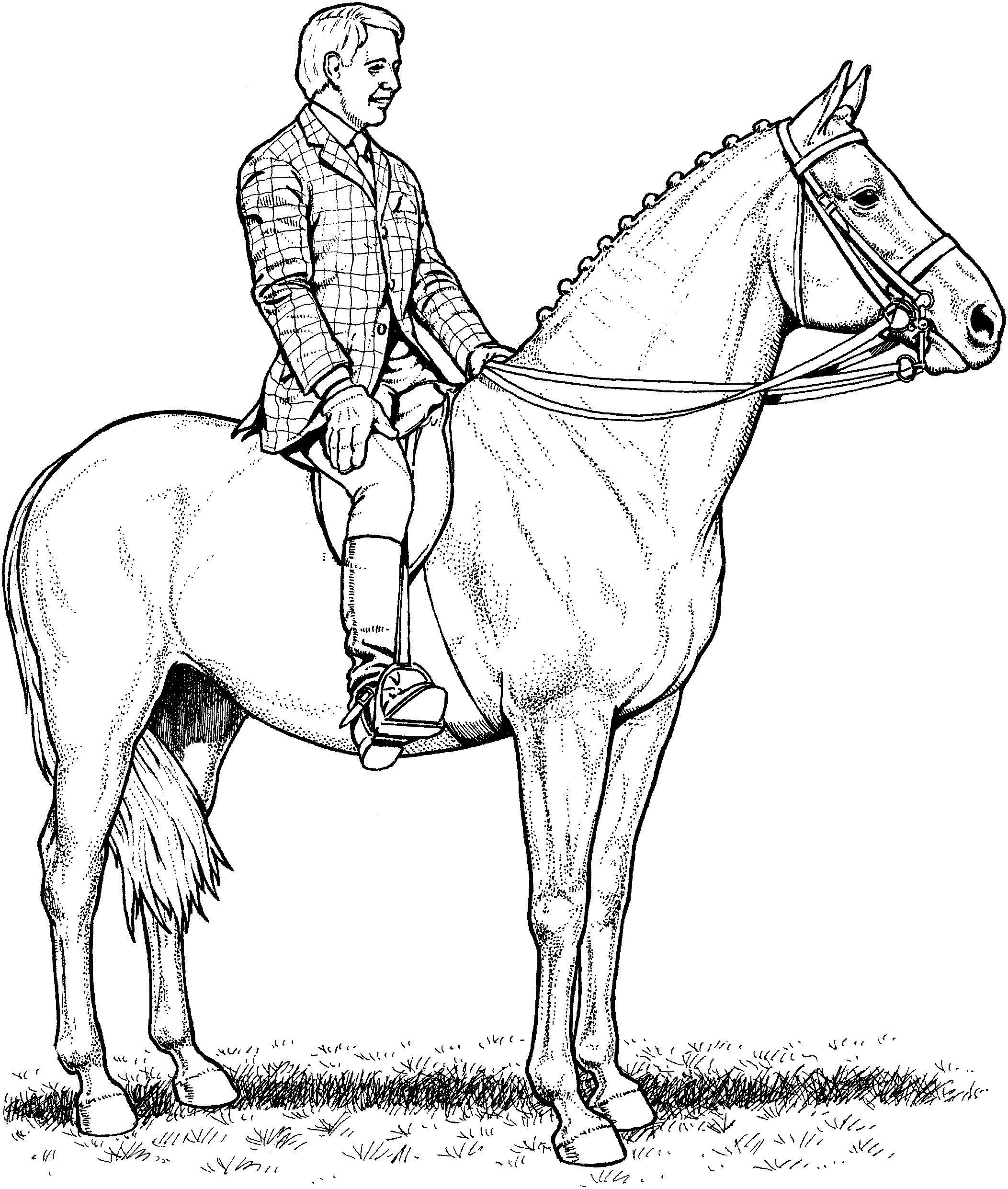horse pages grey arabian horse coloring page free printable coloring pages horse 