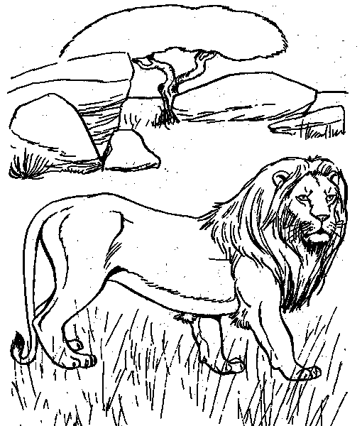 pictures of animals in desert desert animals coloring pages az sketch coloring page desert pictures animals in of 
