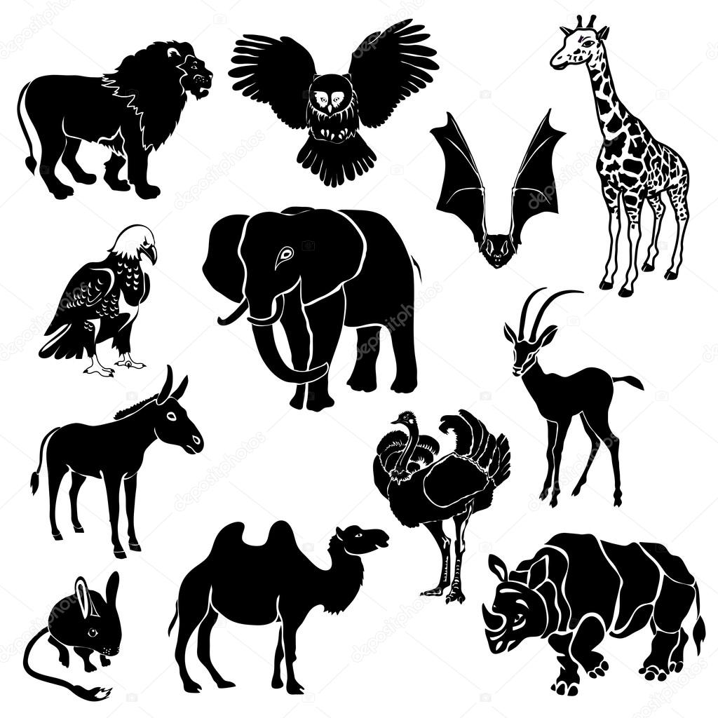 pictures of animals in desert drawing of animal camel in desert free download clip art animals in pictures of desert 
