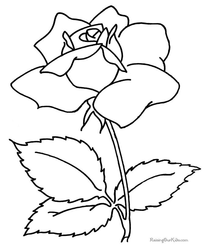pictures of flowers for coloring free printable flower coloring pages for kids best pictures coloring for flowers of 