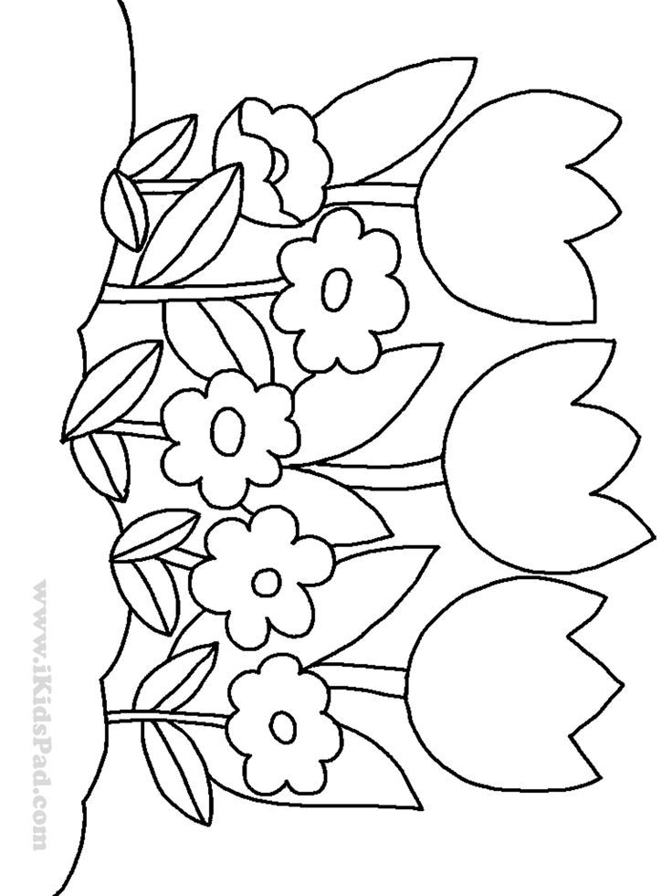 pictures of flowers for coloring free printable flower coloring pages for kids cool2bkids for pictures of coloring flowers 