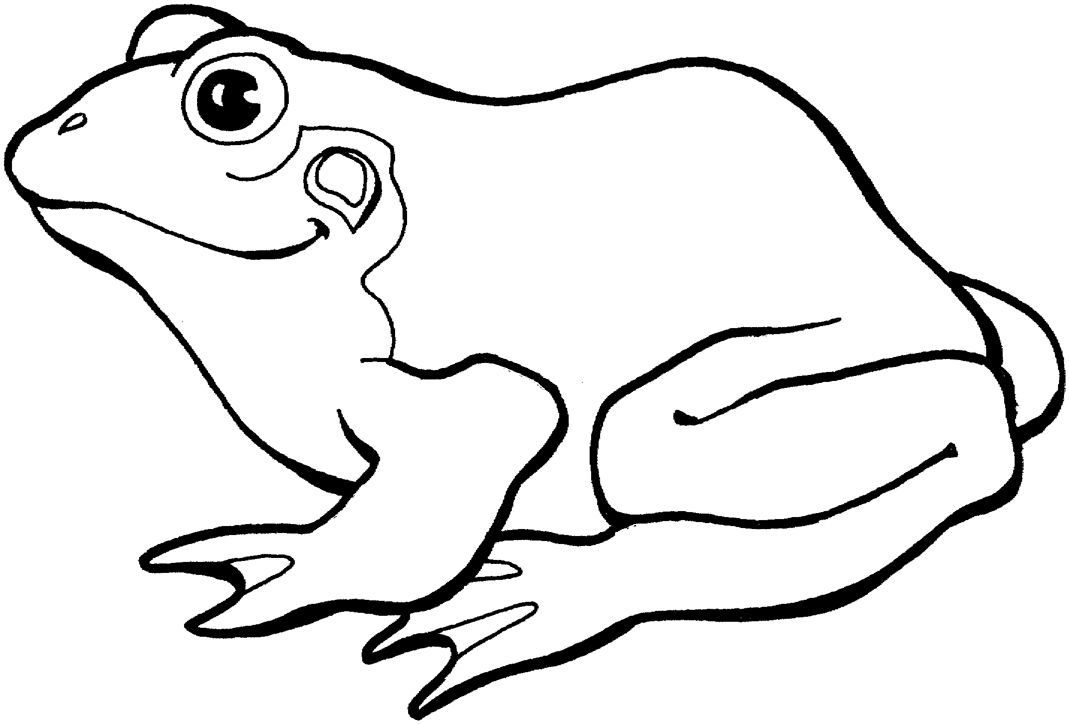 pictures of frogs to color free printable frog coloring pages for kids cool2bkids of color to frogs pictures 