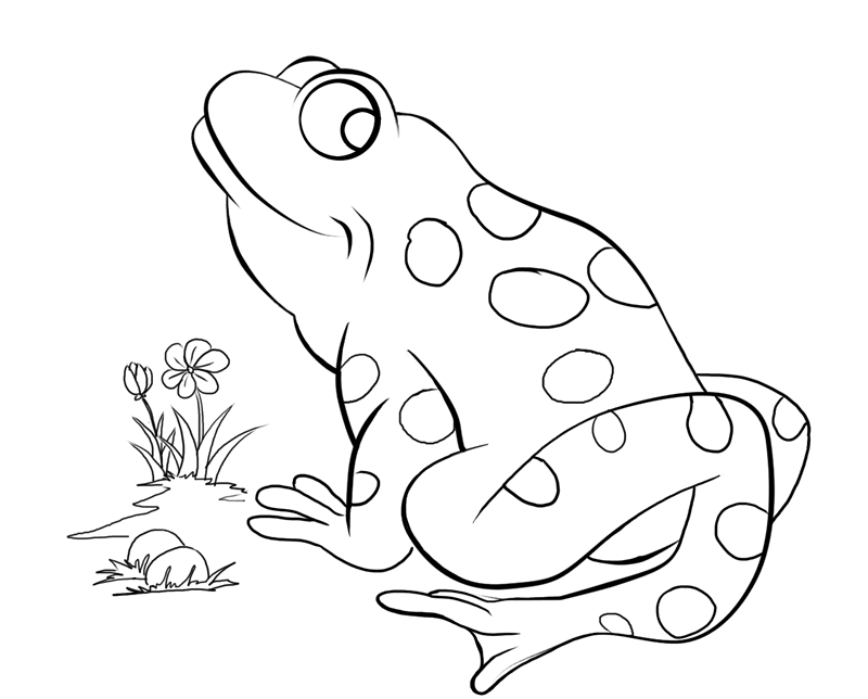 pictures of frogs to color frogs to print for free frogs kids coloring pages frogs to of color pictures 