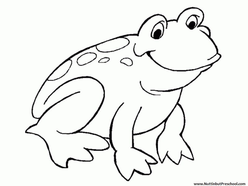 pictures of frogs to color printable frog colouring pages for preschoolers color frogs to pictures of 