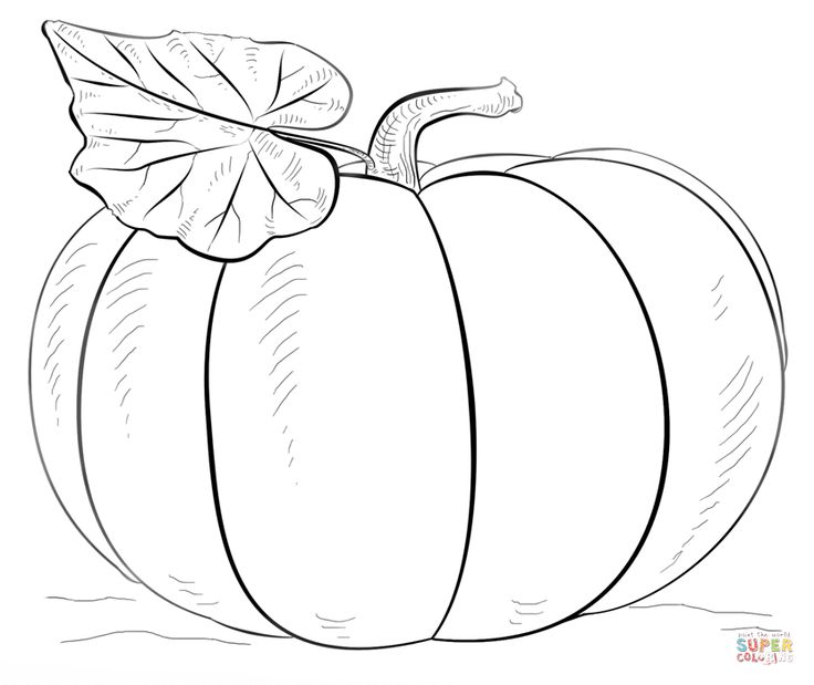 pictures of pumpkins free printable pumpkin coloring pages for kids pictures pumpkins of 