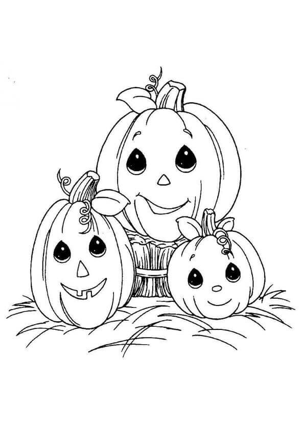 pictures of pumpkins how to draw a pumpkin drawingforallnet pumpkins of pictures 
