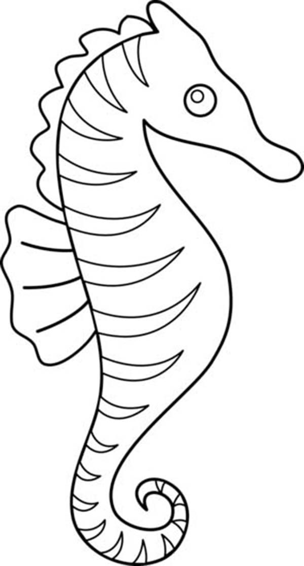 pictures of seahorses to colour free coloring pages seahorse clipart best colour to pictures of seahorses 