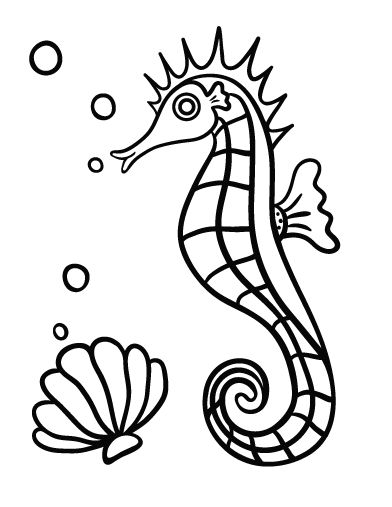 pictures of seahorses to colour sea horse outline clipartsco to colour pictures seahorses of 