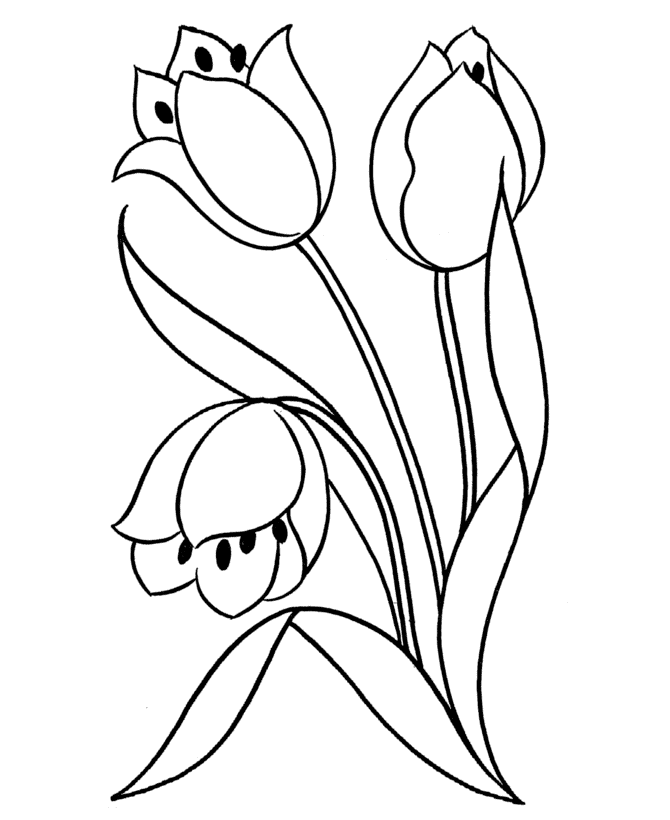 printable flowers to color coloring pages printables flowers shoaib bilal flowers printable color to flowers 