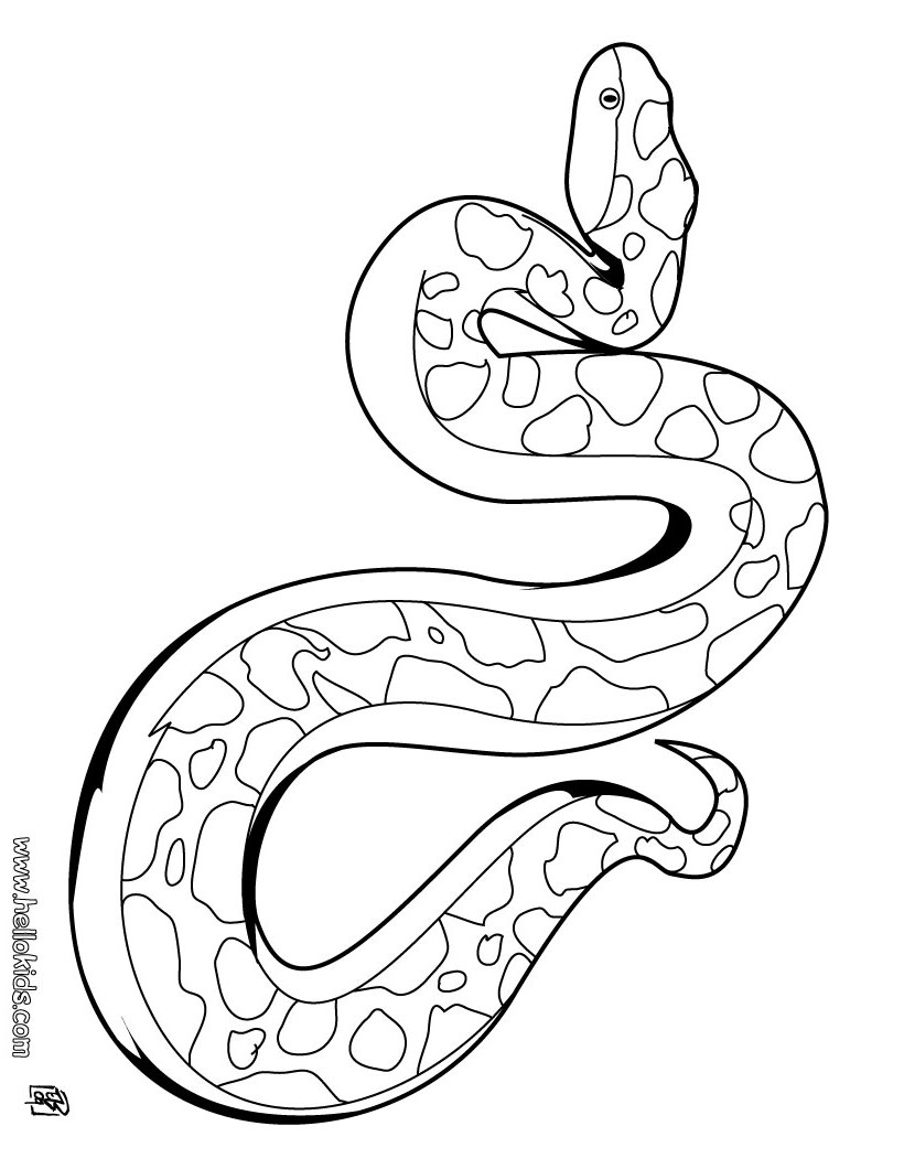 printable snake free printable snake coloring pages for kids snake printable 1 1