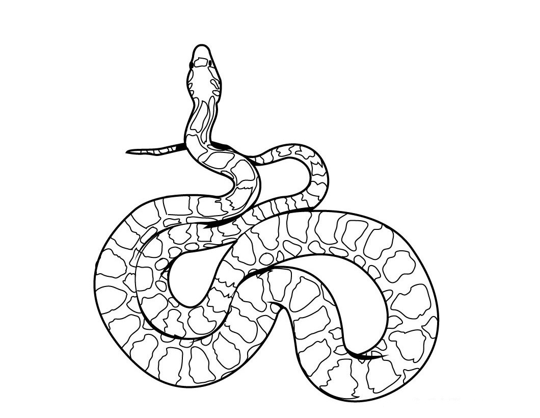 printable snake free printable snake coloring pages for kids snake printable 1 2