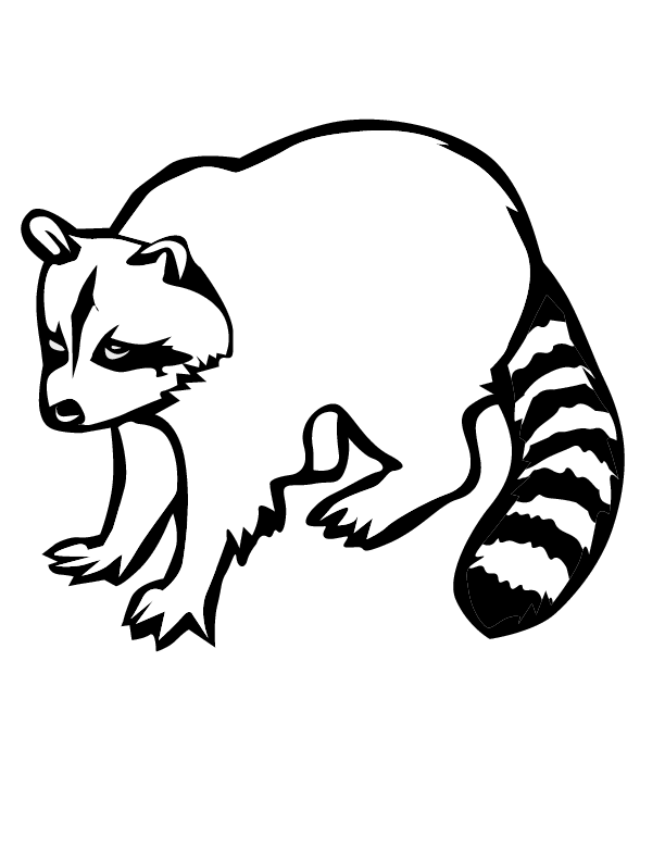 raccoon pictures to print cute cartoon raccoon coloring page free printable to print raccoon pictures 