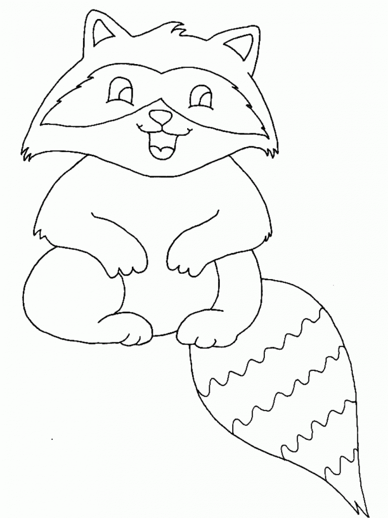 raccoon pictures to print raccoon coloring pages kidsuki to pictures raccoon print 