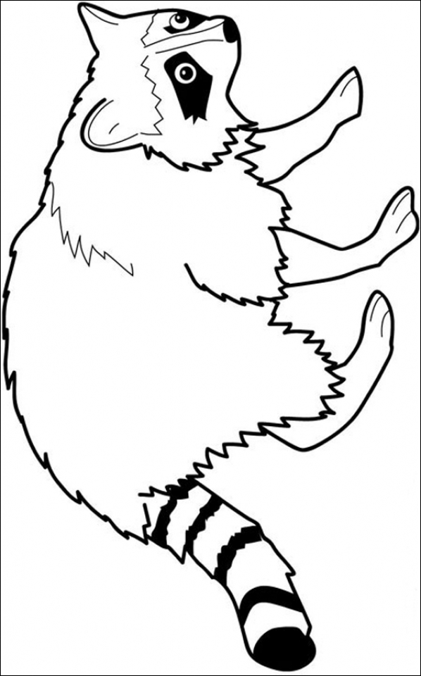 raccoon pictures to print raccoon coloring pages to download and print for free raccoon print pictures to 