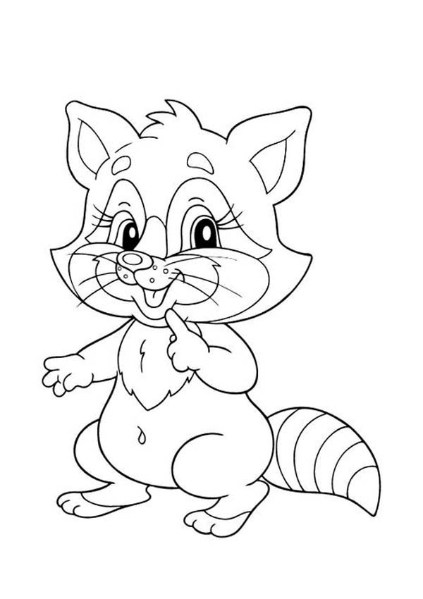 raccoon pictures to print raccoon coloring pages to download and print for free to raccoon pictures print 