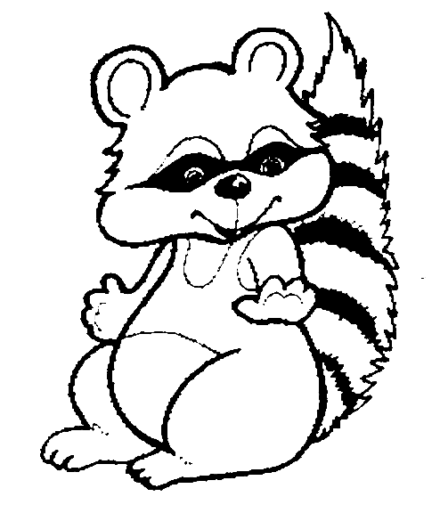 raccoon pictures to print raccoon printable coloring pages enjoy coloring raccoon print pictures to 