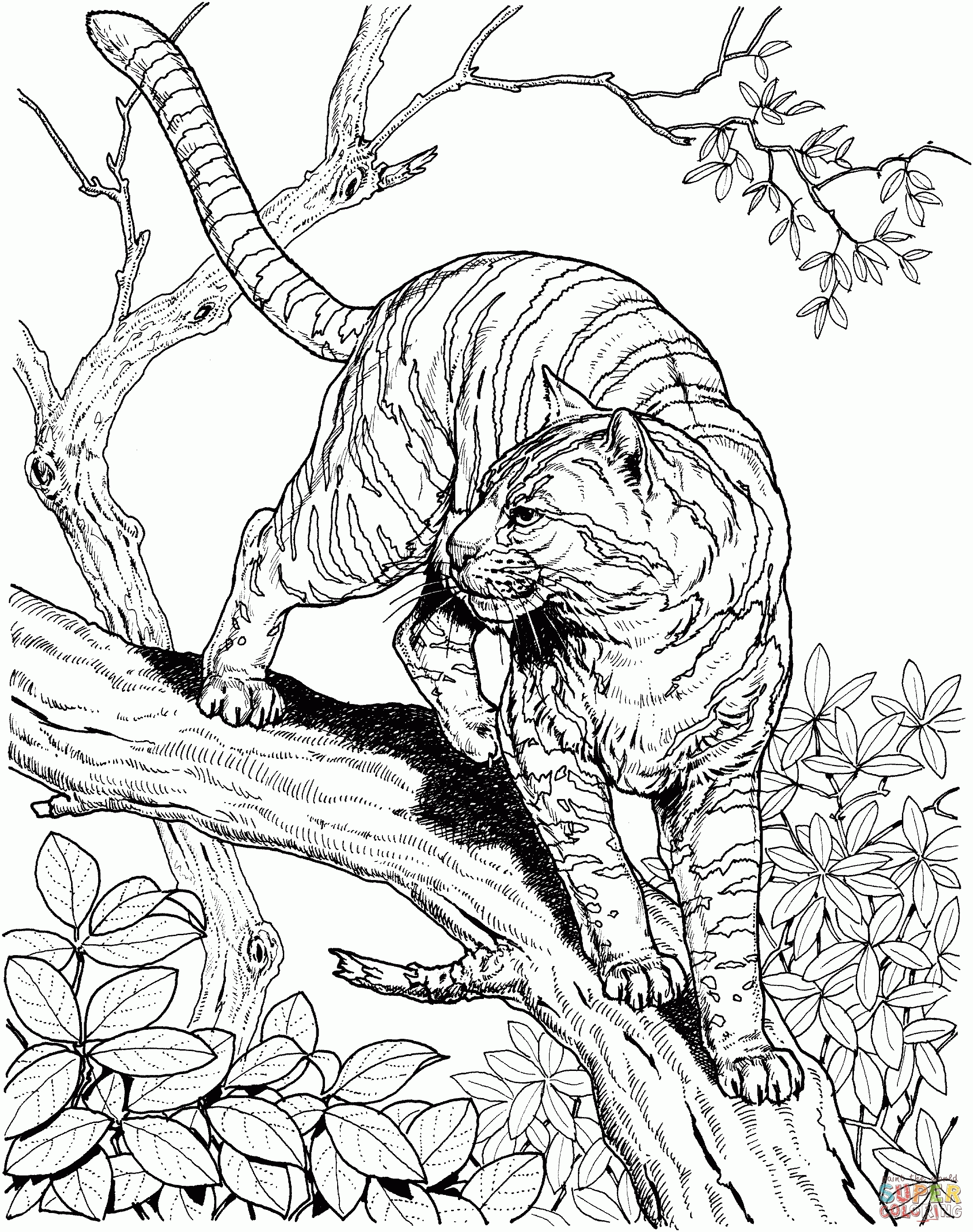 realistic animal coloring pages realistic animals coloring pages only coloring pages realistic pages coloring animal 