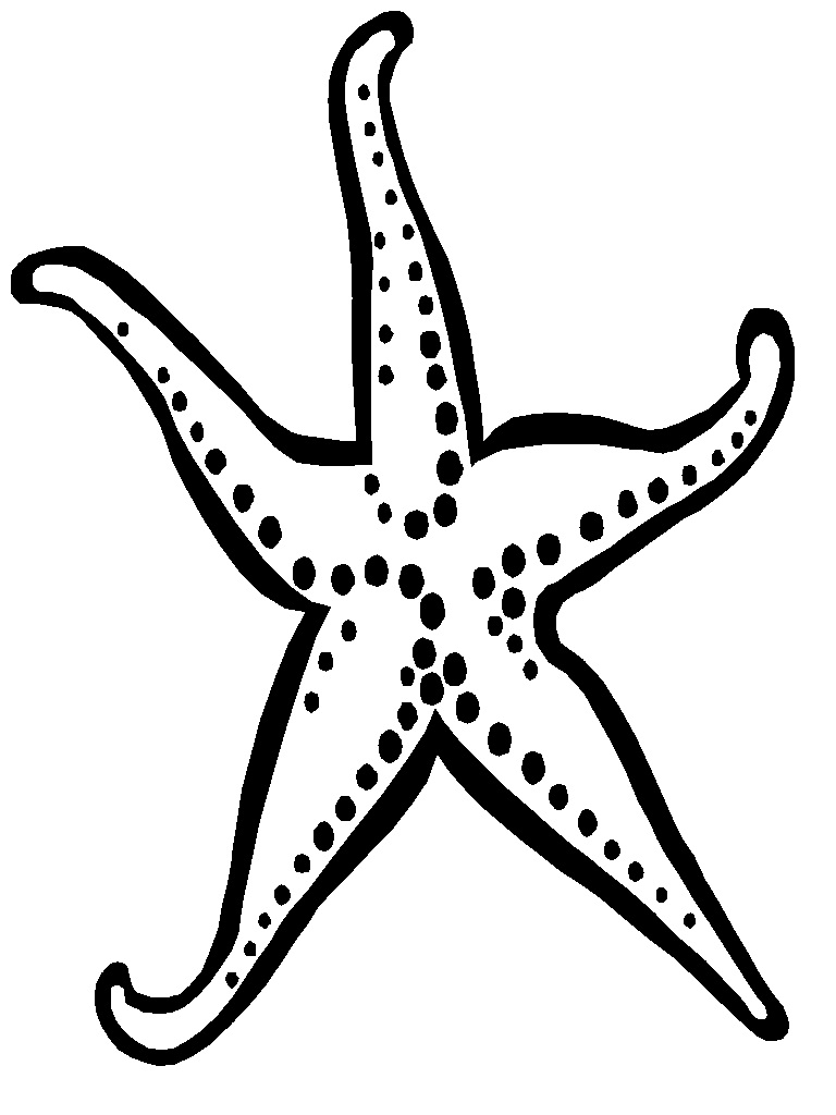 starfish coloring sheet 379 best summer sunday educational song images on starfish sheet coloring 