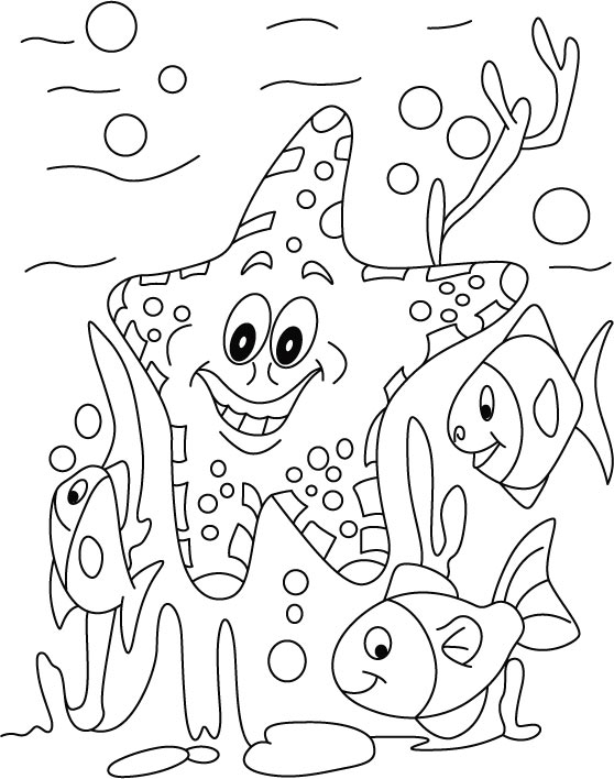 starfish coloring sheet picture coloring book starfish printable coloring pages starfish coloring sheet 