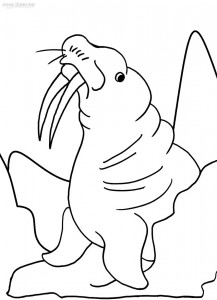 walrus colouring page cartoon walrus coloring page free printable coloring pages page walrus colouring 