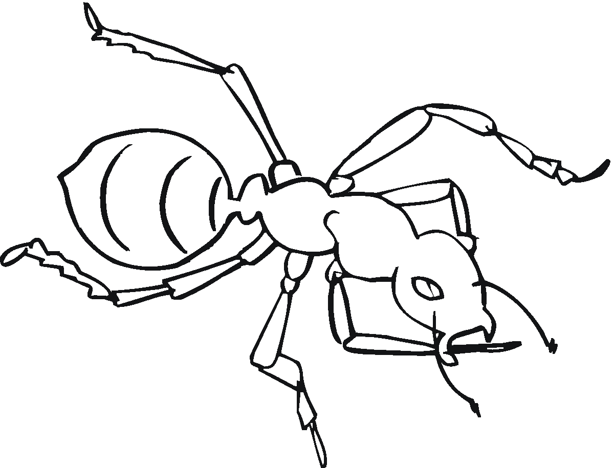 a for ant coloring pages free printable ant coloring pages for kids ant for a pages coloring 