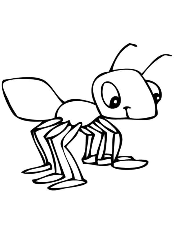 a for ant coloring pages letter a is for ant coloring page free printable pages coloring a ant for 