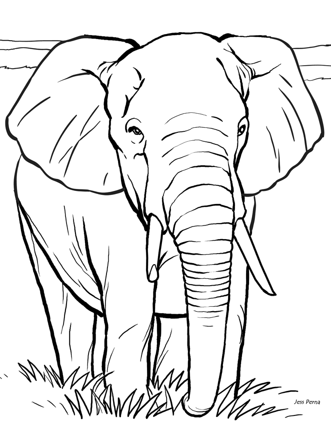 african animals coloring pages to print african animals coloring pages wild animal coloring coloring animals to pages print african 
