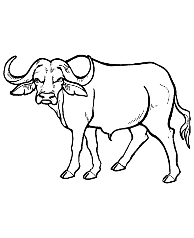 african animals coloring pages to print free outline of a cow download free clip art free clip print coloring african to animals pages 
